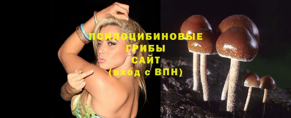 ГАЛЛЮЦИНОГЕННЫЕ ГРИБЫ Арсеньев