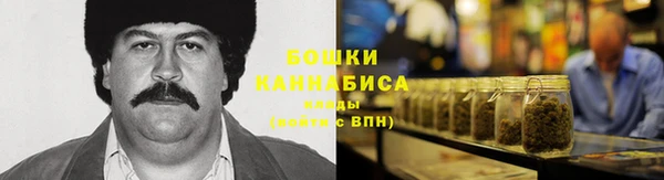 ГАЛЛЮЦИНОГЕННЫЕ ГРИБЫ Арсеньев