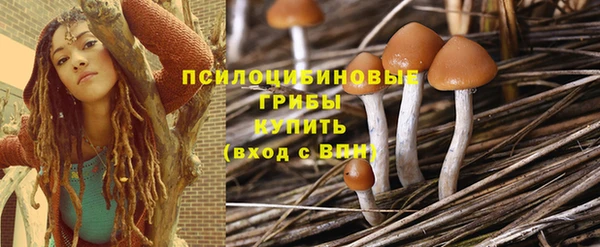 ГАЛЛЮЦИНОГЕННЫЕ ГРИБЫ Арсеньев